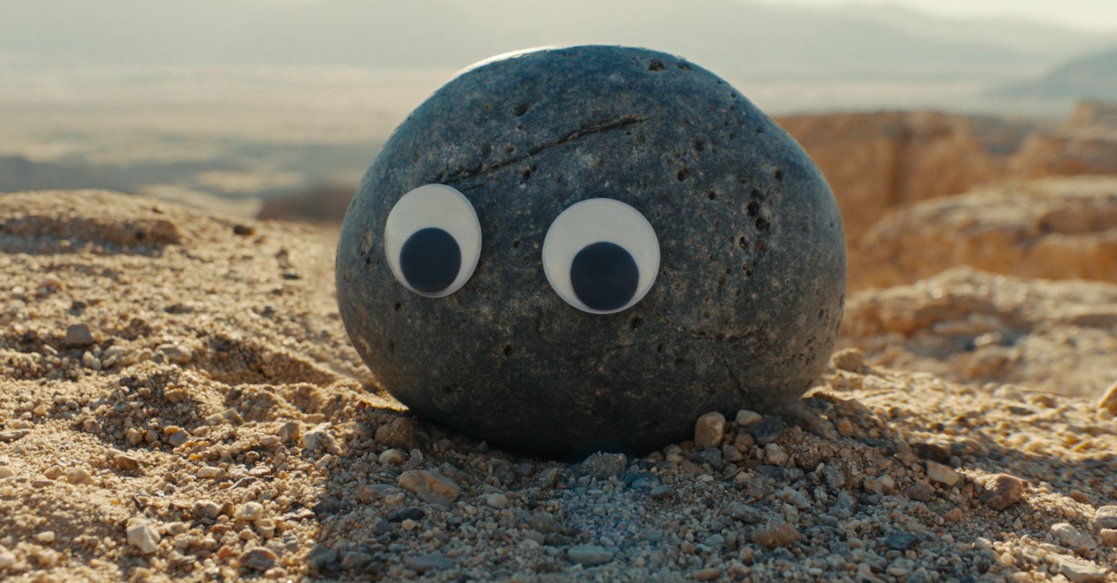 un sasso con due occhi finti nel deserto